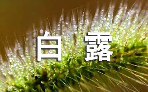 ¶ף15ƪ