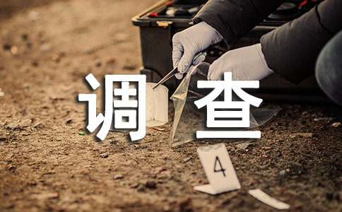 ʳ鱨