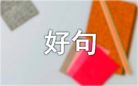 ʮټһþȫ50侫ѡ