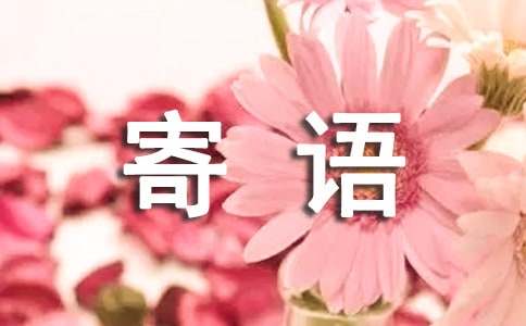 üѡ450䣩