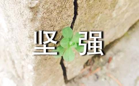 ڼǿ˵˵50侫ѡ