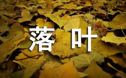 ҶʾĻܣ15ƪ