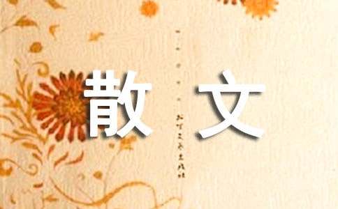 С浾ɢ