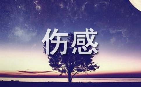 ʵá2025˸иԾӽ38