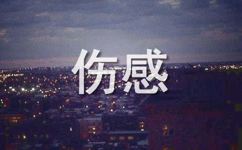 2025ʵõΨ˸еľ97