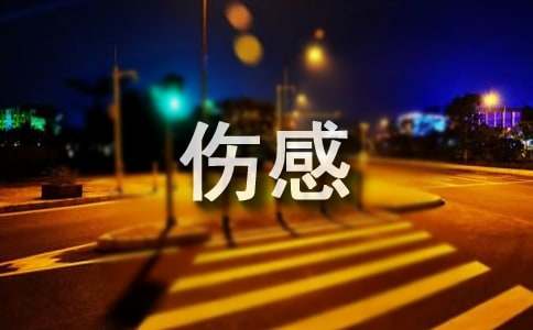 2025ʵõΨ˸оӽ40