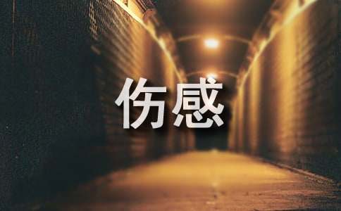 ر2025˸иԾӼ40