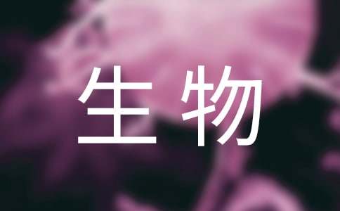 ﱸ鹤ƻ