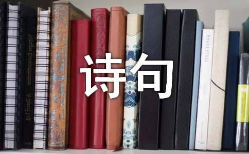 пݵʫ80
