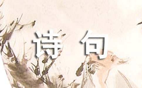 ̺.ʫ