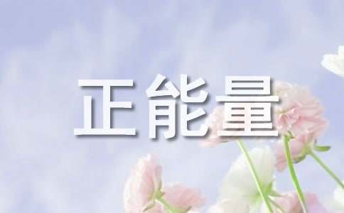ѡ300䣩