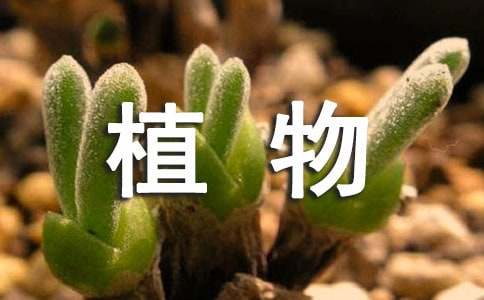 ֲ۲ռǡȫ15ƪ